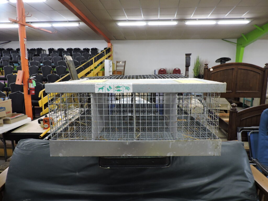 DSCN7148