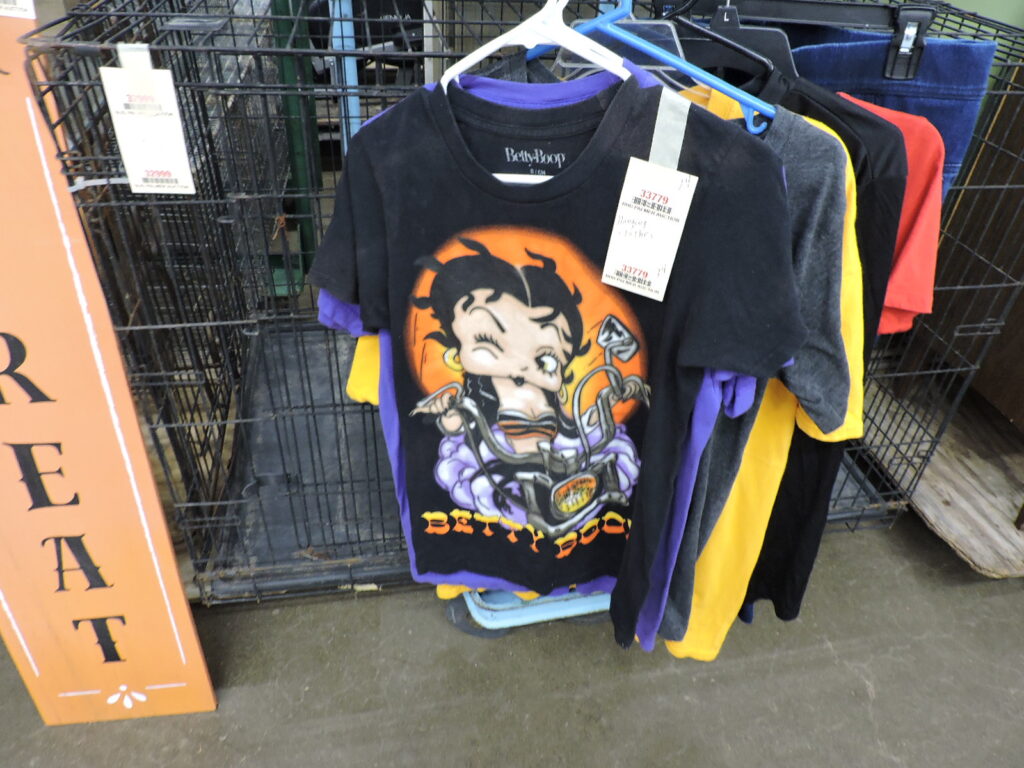 DSCN7234